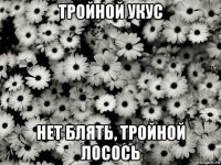 тройной укус нет блять, тройной лосось