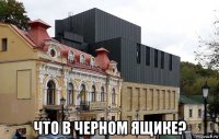  что в черном ящике?