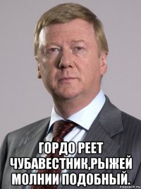  гордо реет чубавестник,рыжей молнии подобный.