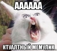 аааааа ктуалтный мемулик