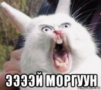  ээээй моргуун