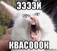 ээээй квасооок