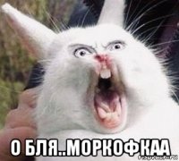  о бля..моркофкаа