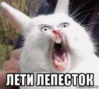  лети лепесток
