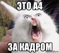 это а4 за кадром