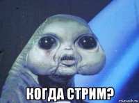  когда стрим?