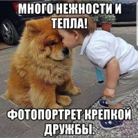 много нежности и тепла! фотопортрет крепкой дружбы.
