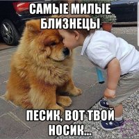 самые милые близнецы песик, вот твой носик...