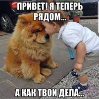 привет! я теперь рядом... а как твои дела...