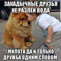 закадычные друзья не разлей вода милота да и только дружба одним словом.