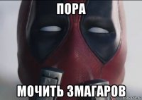 пора мочить змагаров