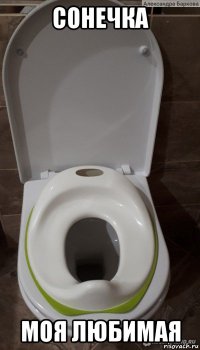 сонечка моя любимая