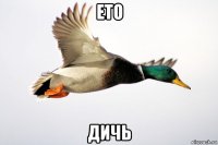 ето дичь