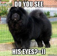 do you see his eyes?=))