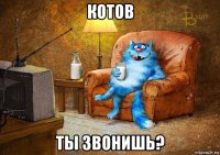 котов ты звонишь?