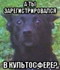 а ты зарегистрировался в культосфере?