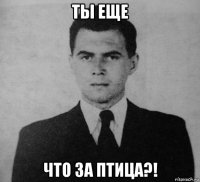 ты еще что за птица?!