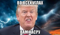 во всех углах вам насру