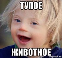 тупое животное