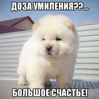 доза умиления??... большое счастье!