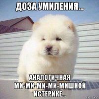 доза умиления... аналогичная ми-ми-ми-ми-мишной истерике...