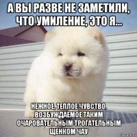 а вы разве не заметили, что умиление, это я... нежное, теплое чувство, возбуждаемое таким очаровательным трогательным щенком чау