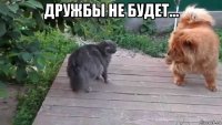 дружбы не будет… 