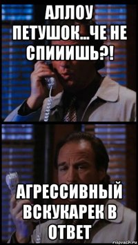 аллоу петушок...че не спииишь?! агрессивный вскукарек в ответ