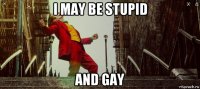 i may be stupid and gay