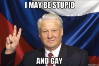 i may be stupid and gay