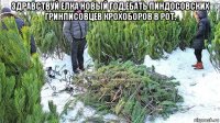 здравствуй елка новый год,ебать пиндосовских гринписовцев крохоборов в рот. 