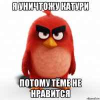 я уничтожу катури потому тёме не нравится