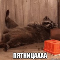  пятницаааа
