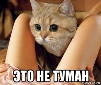  это не туман