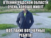 в ленинградской области очень хорошо живут вот такие вот черные ребята!