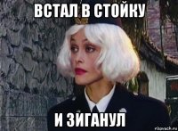 встал в стойку и зиганул
