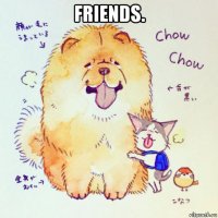 friends. 