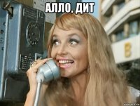 алло, дит 