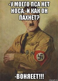 -у моего пса нет носа.-и как он пахнет? -воняеет!!!