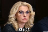  крыса