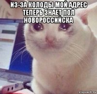 из-за колоды мой адрес теперь знает пол новороссийска 