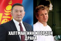  халтмаагийн и гордон драка