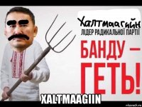  xaltmaagiin