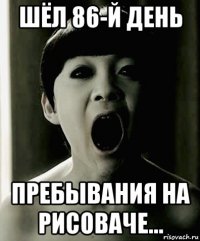 шёл 86-й день пребывания на рисоваче...