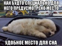 как будто специально для него предусмотрено место удобное место для сна