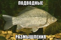 подводные размышления