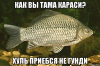 как вы тама караси? хуль приебся не гунди