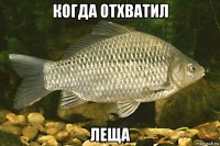 когда отхватил леща