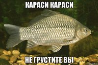 караси караси не грустите вы