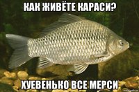 как живёте караси? хуевенько все мерси